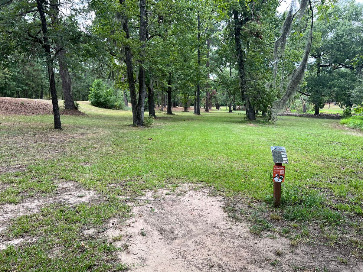 Hole 1 tee
