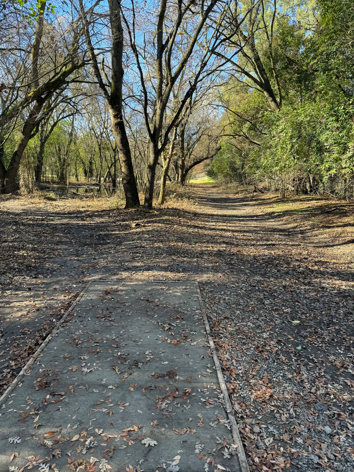Hole 5