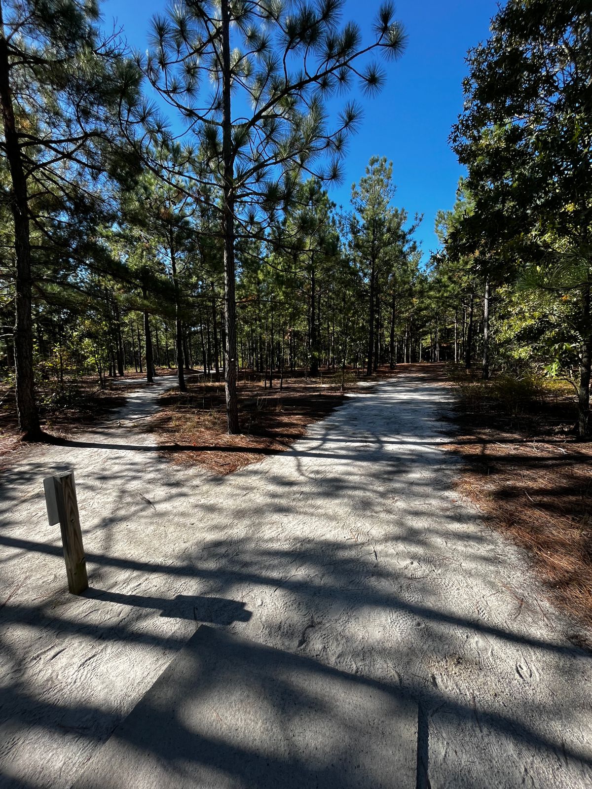 Beautiful well-maintained woods course.