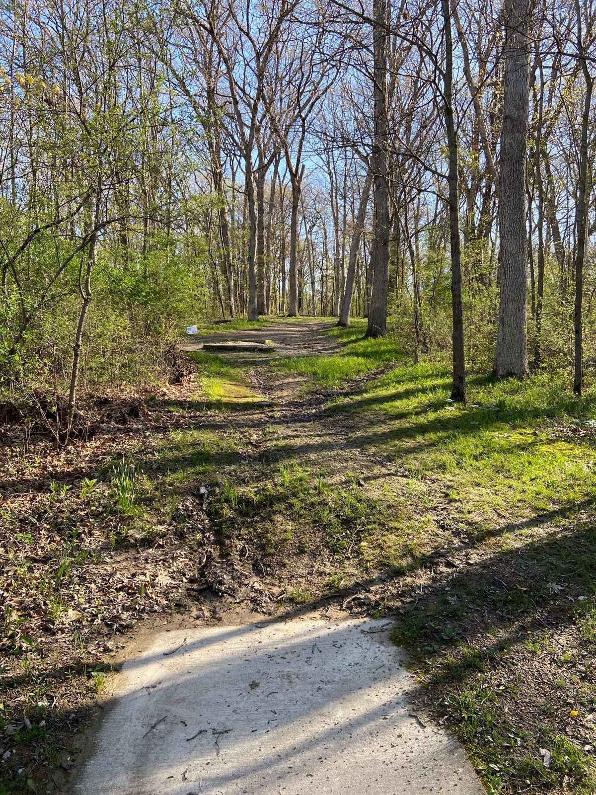 Hole 2. Uphill 261 feet with a dogleg left at the end.