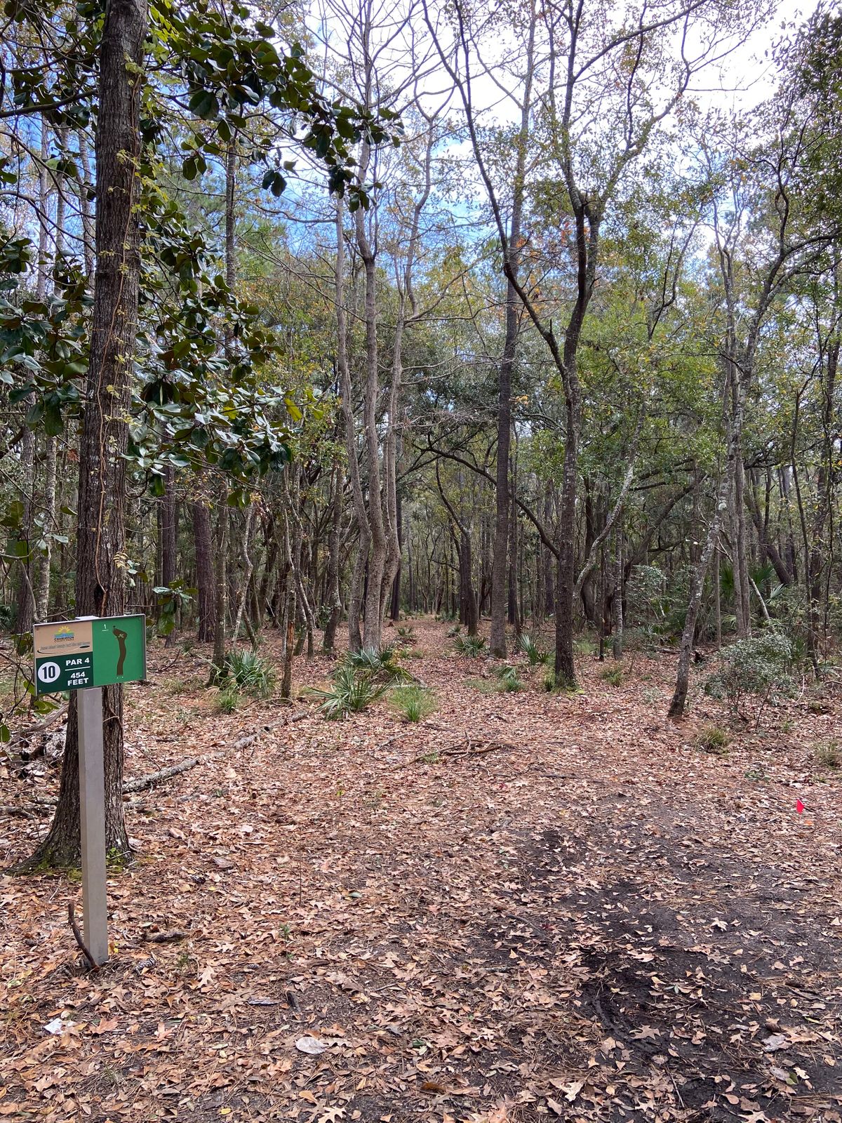 Hole 10