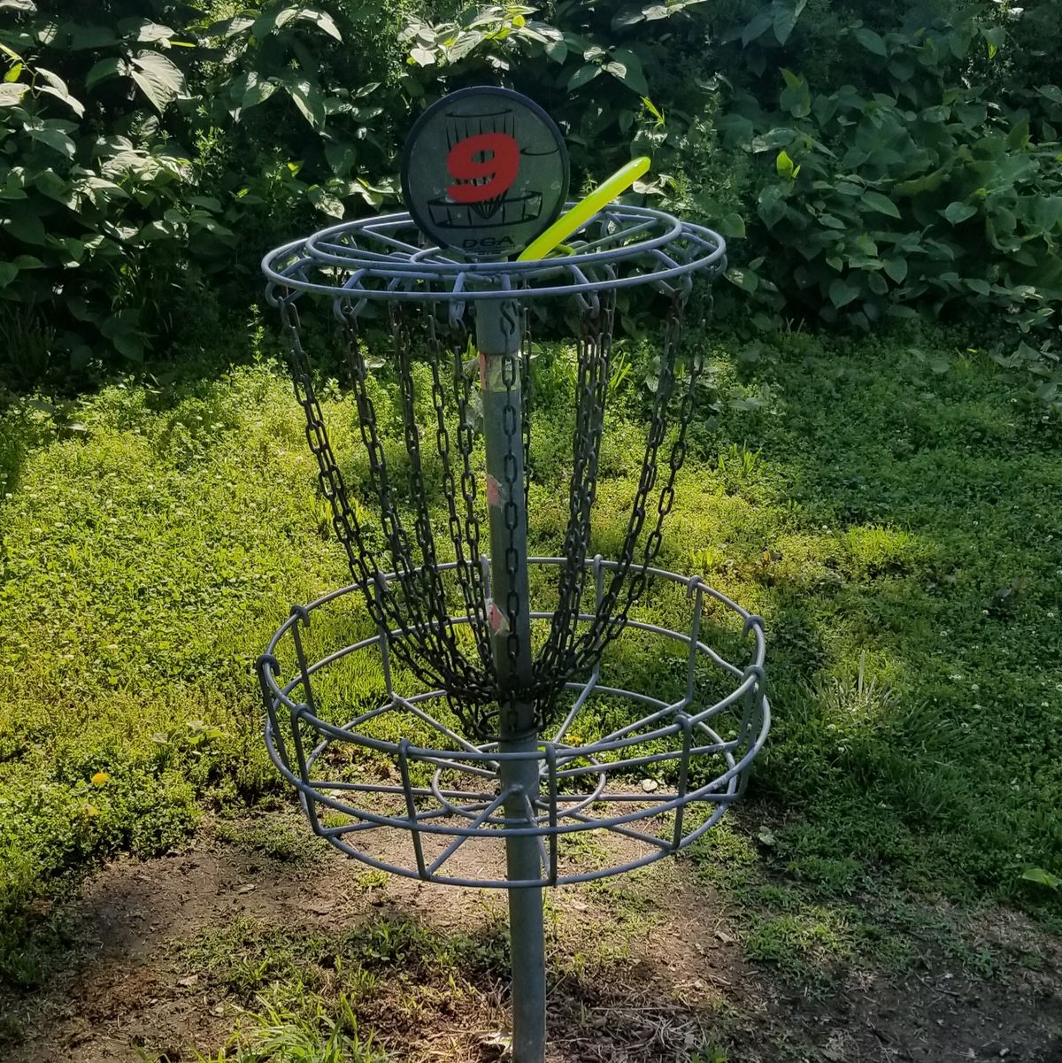 Would have been a birdie