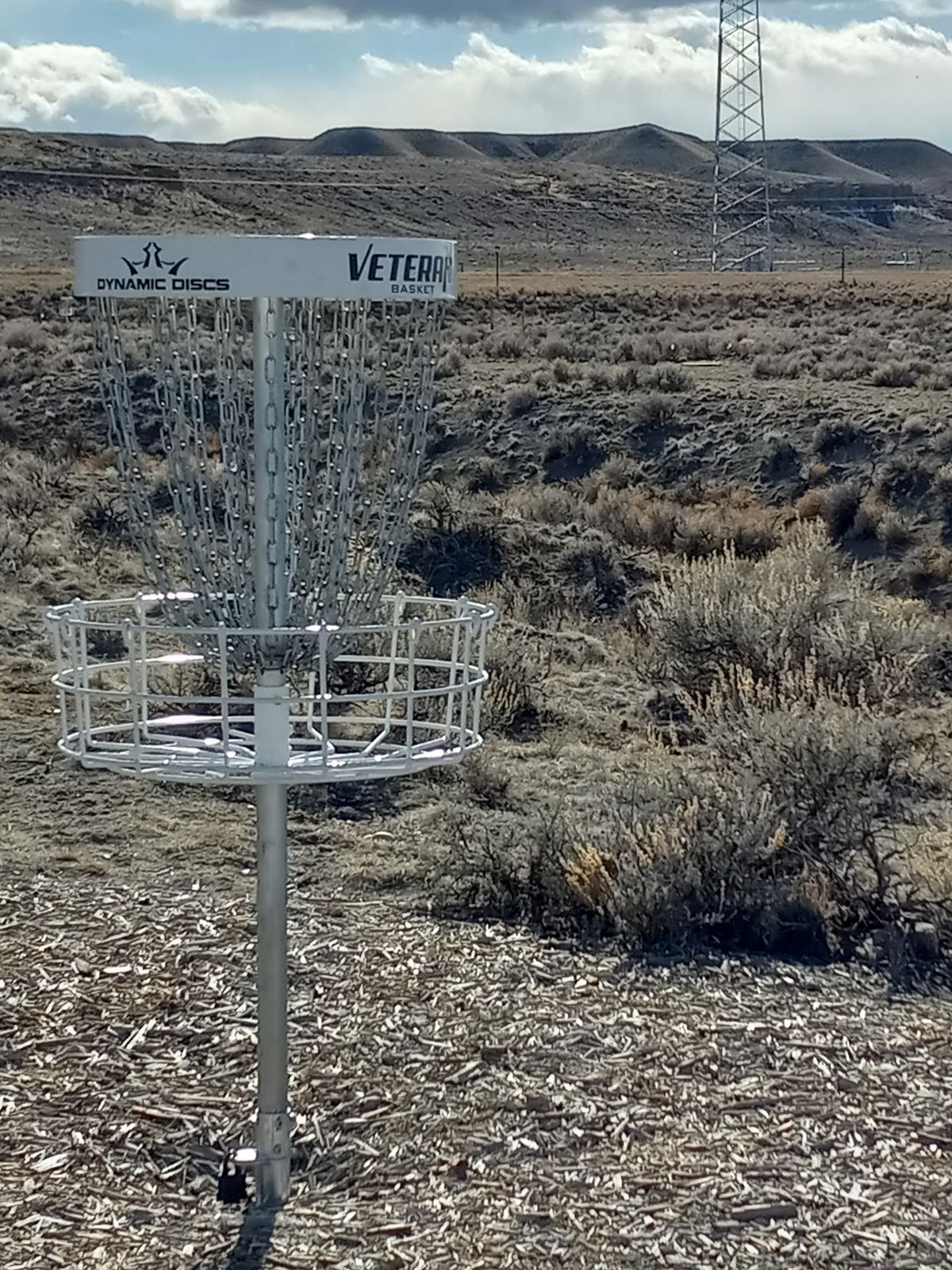 Hole 9: The picture is taken from the basket looking back to the tee.