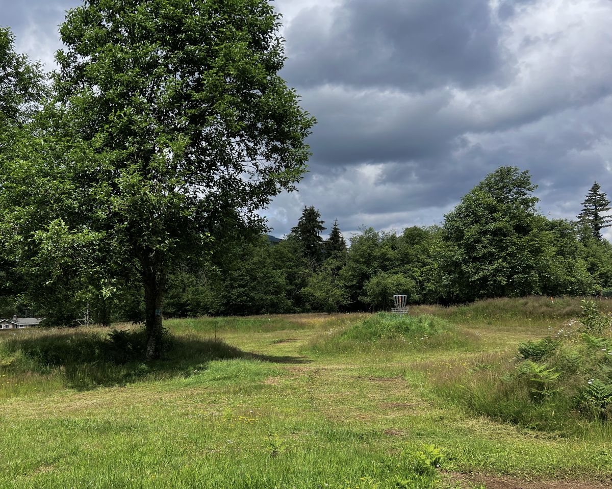 Green of 14, basket raised on a mound.