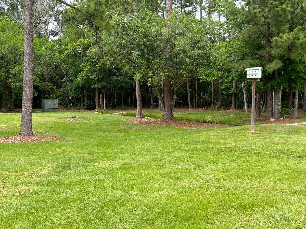 Hole 6 Blue