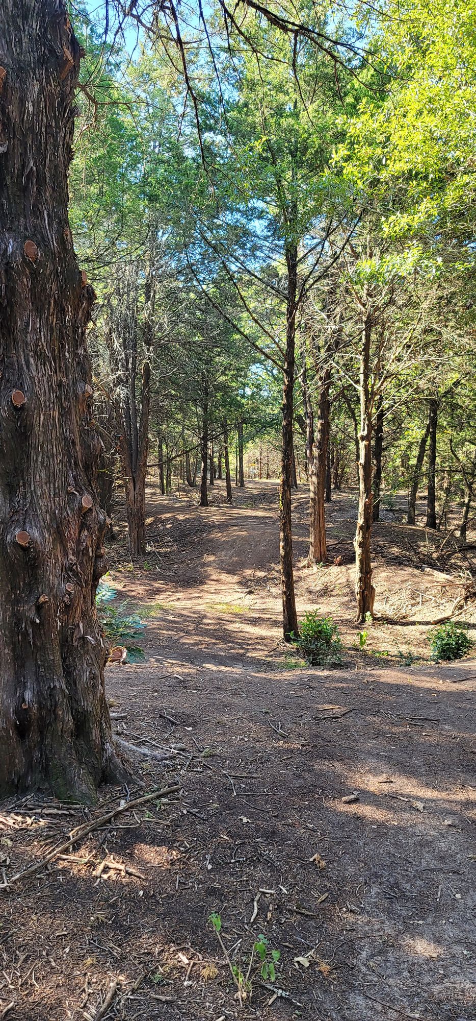 Hole 17 fairway