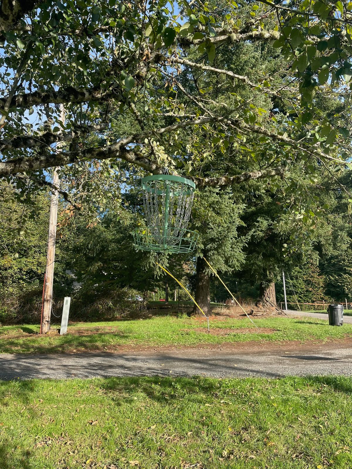 Hole 3 Basket.