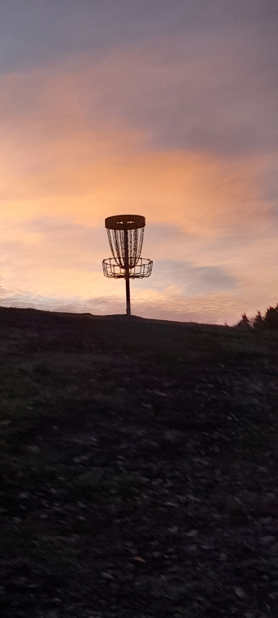 #17