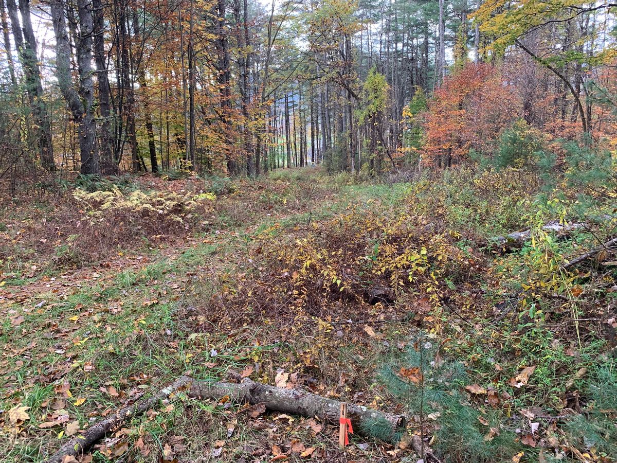 Hole 18