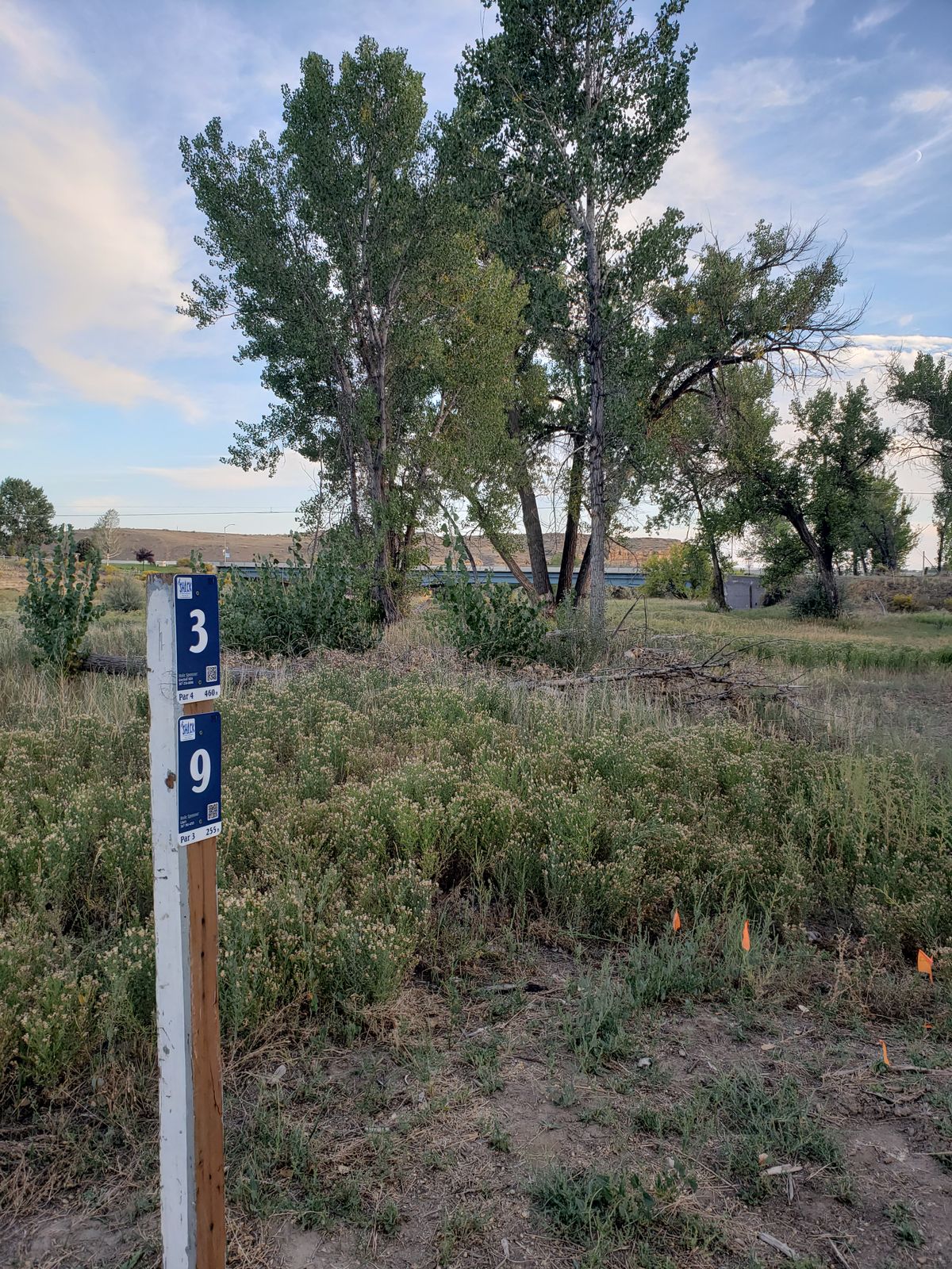 Tees 5 thru 8 are on the pathway. Watch out for gully on hole 4 great course!