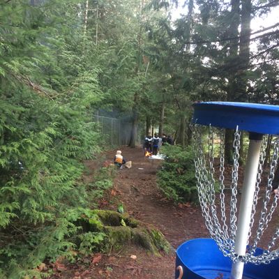 Hole 3 winds through mature trees