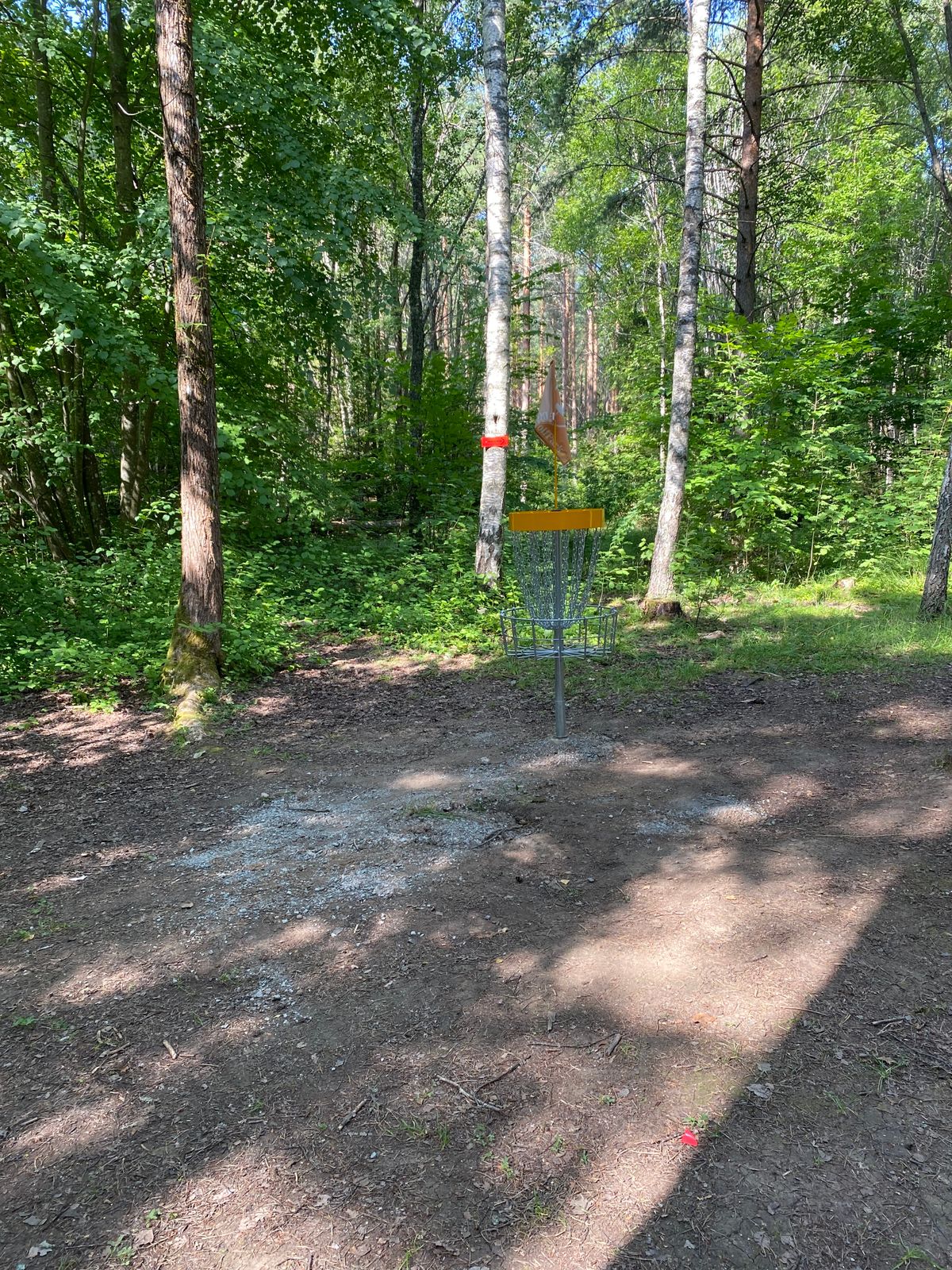 DiscGolfPark Pro Targets - green 1