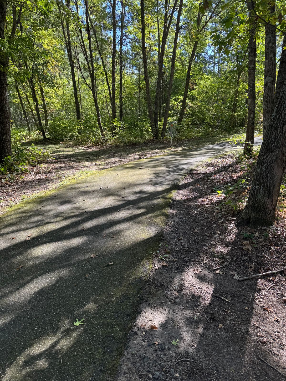 #2 fairway and basket