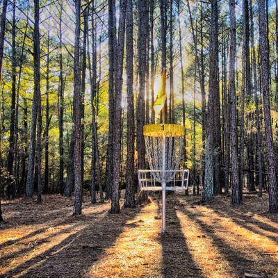 Little Mulberry Park, hole one basket, A position