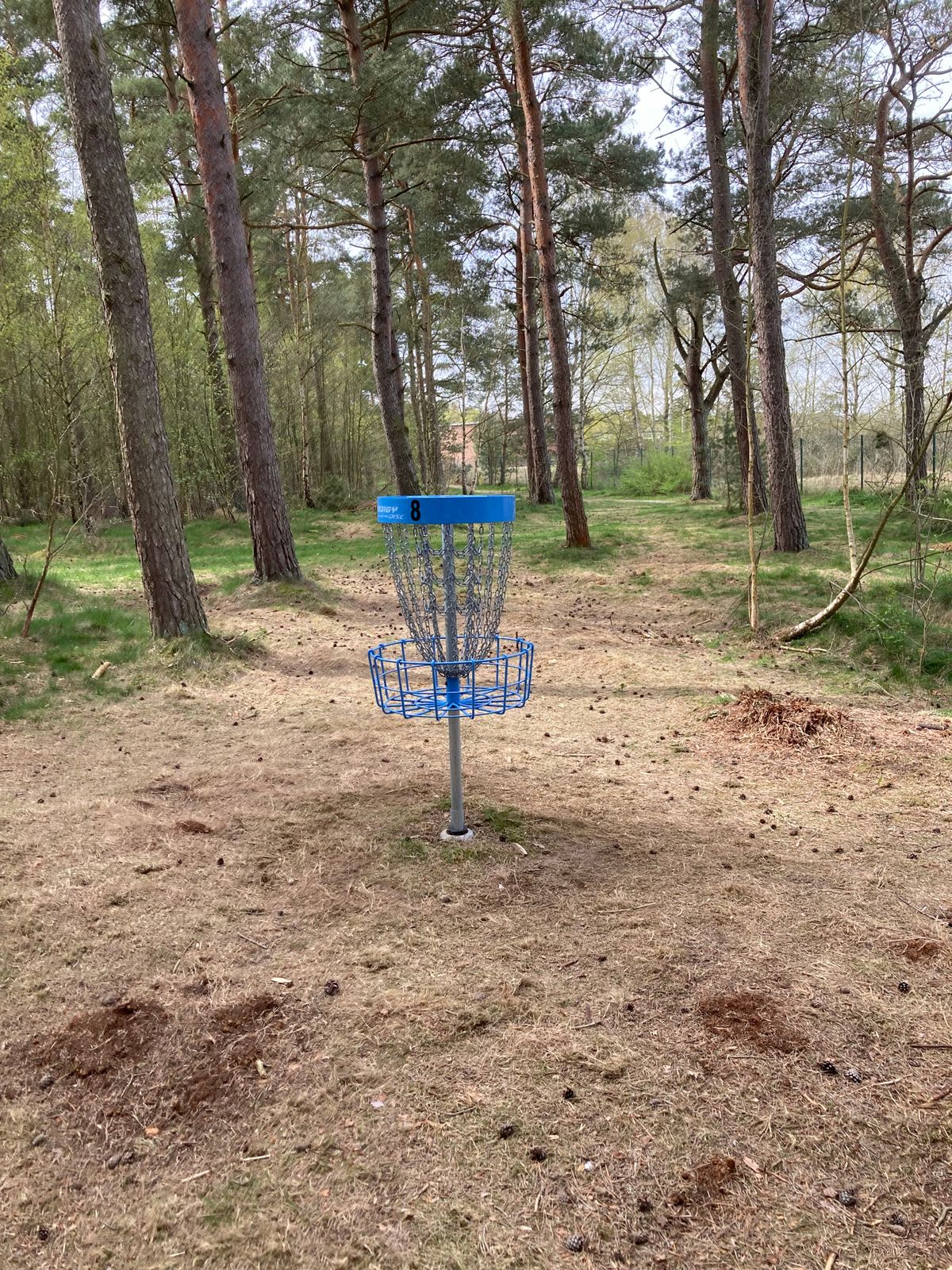 Korg på 8an
