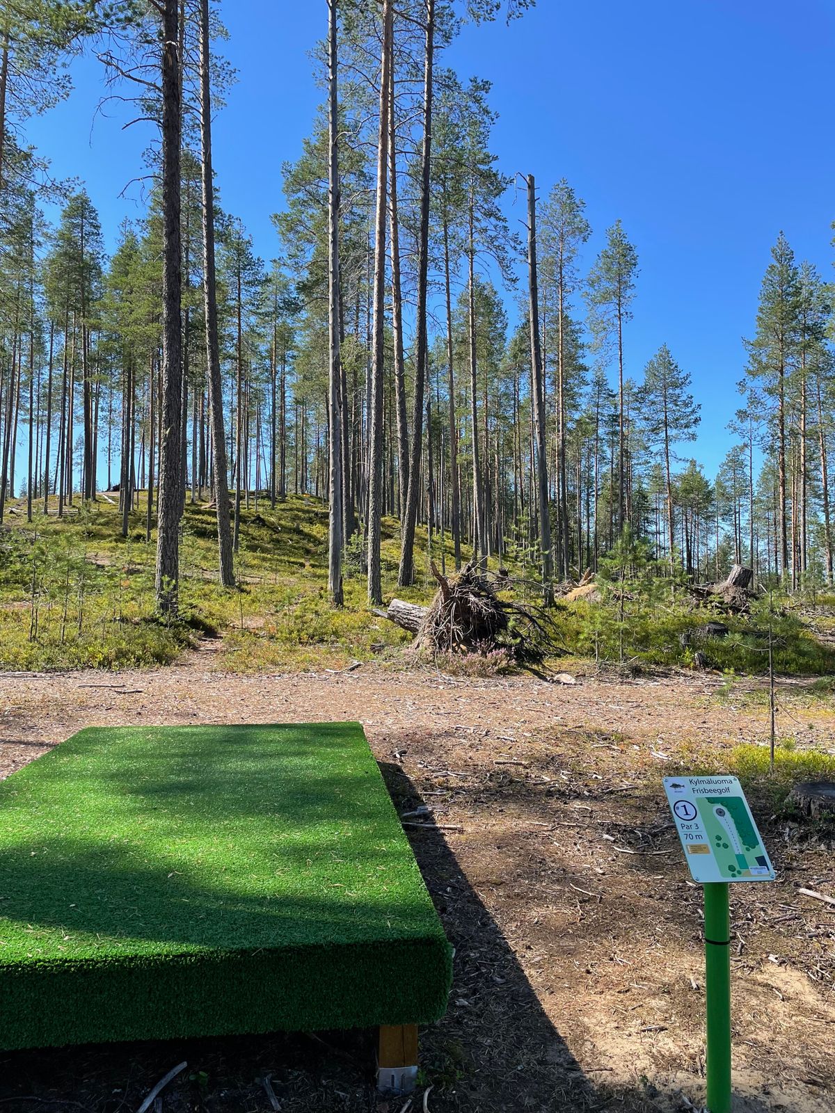 Ensimmäisen väylän tii, kori näkyy rinteen ylhäällä