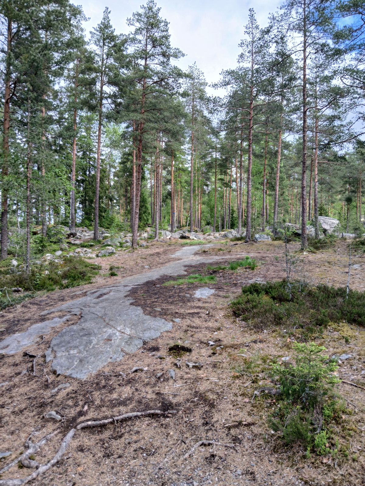 Väylä 3