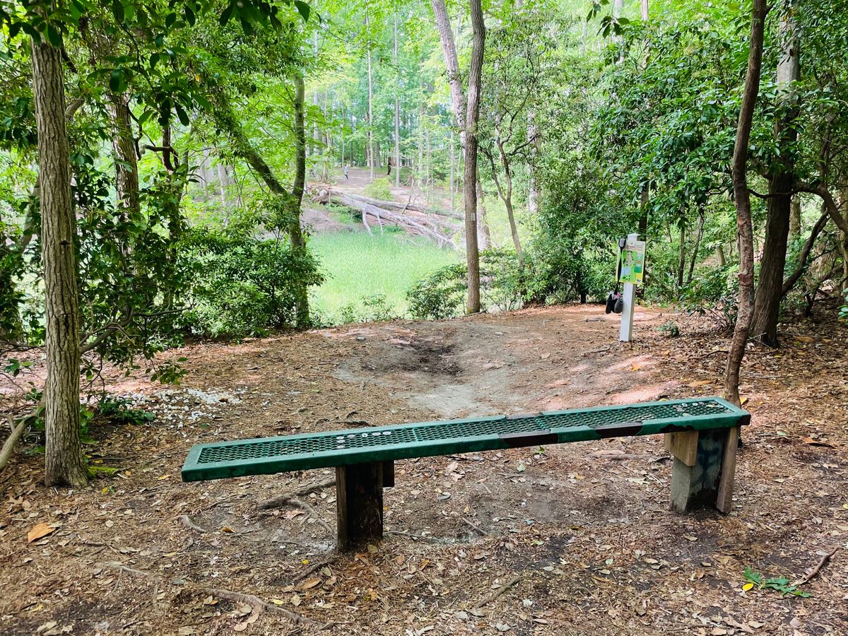 Hole 13 looking sweet and innocent before taking my driver and trying to keep my boot.