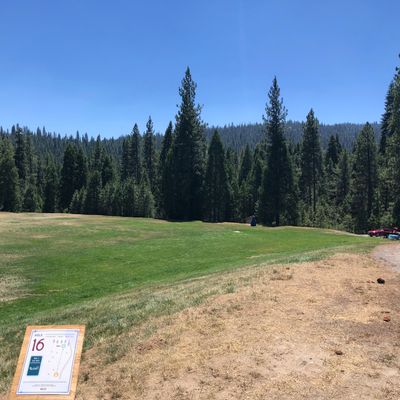 Course photo