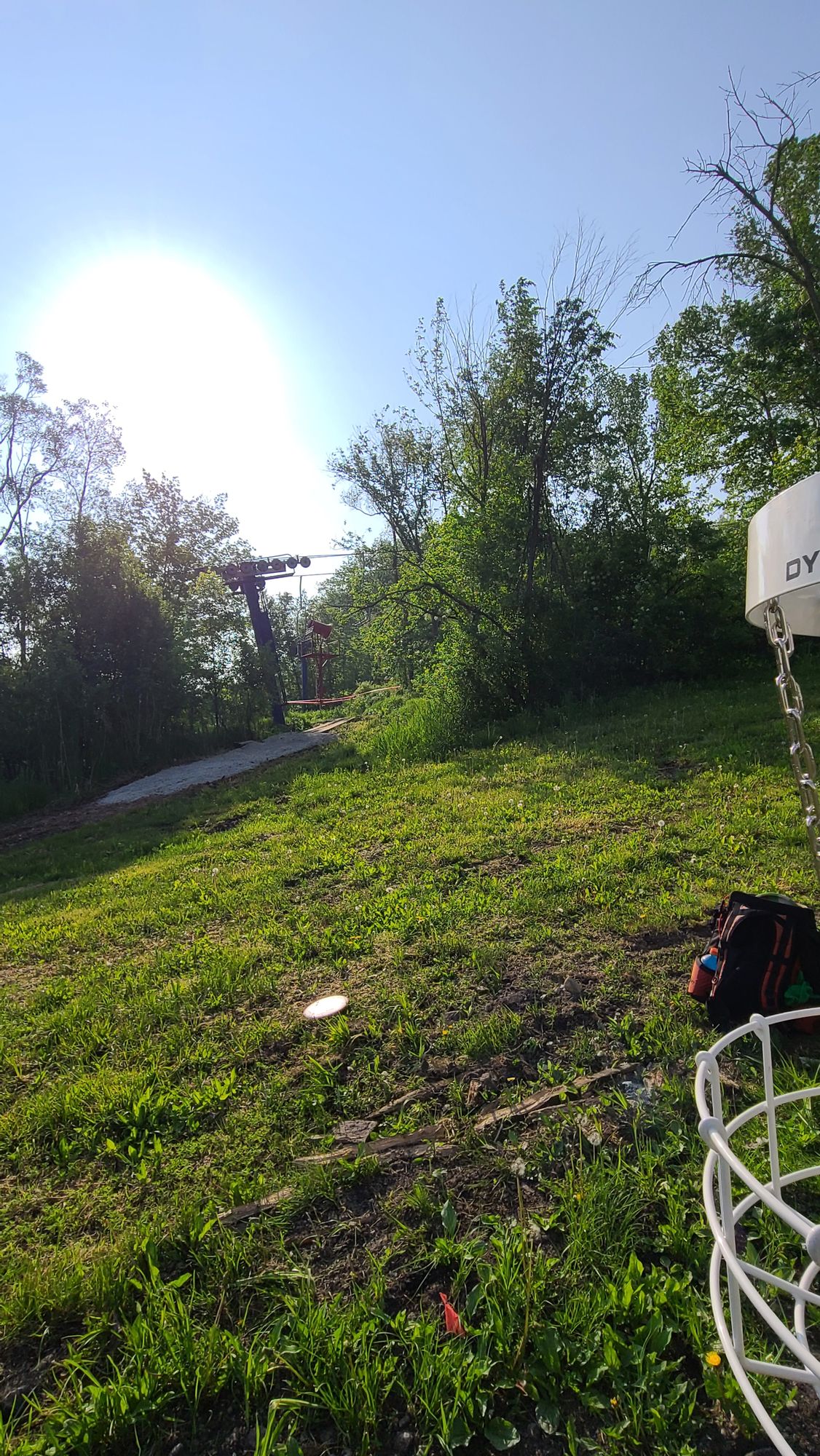 Hole 6 basket tee around bush to the right