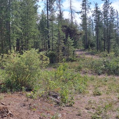Upshot to basket 1.🌲🌲🌲🌲