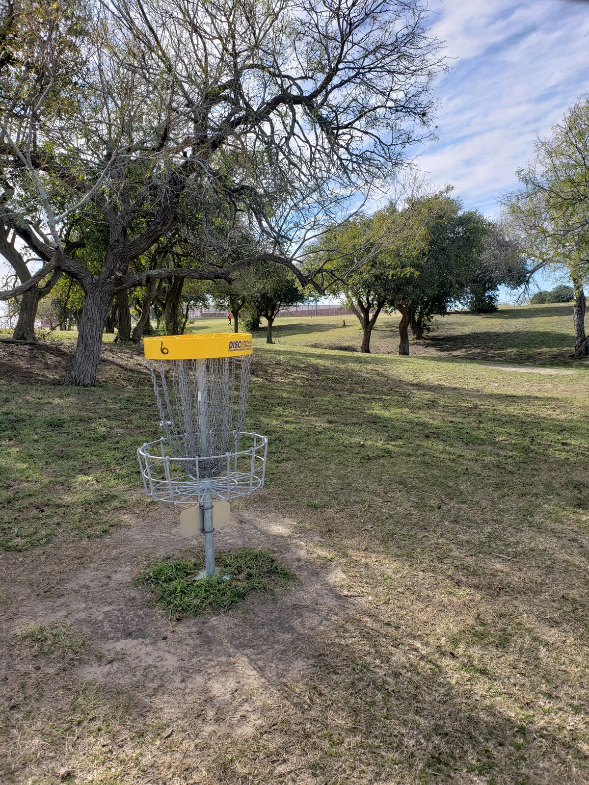 Hole 6 Basket