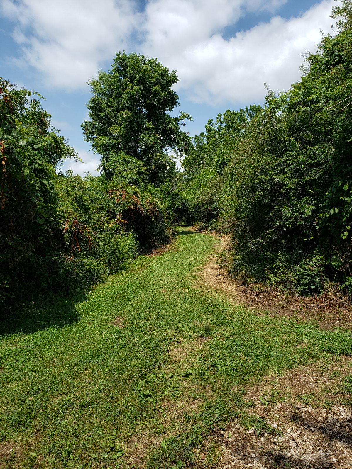 Pathway to #15.