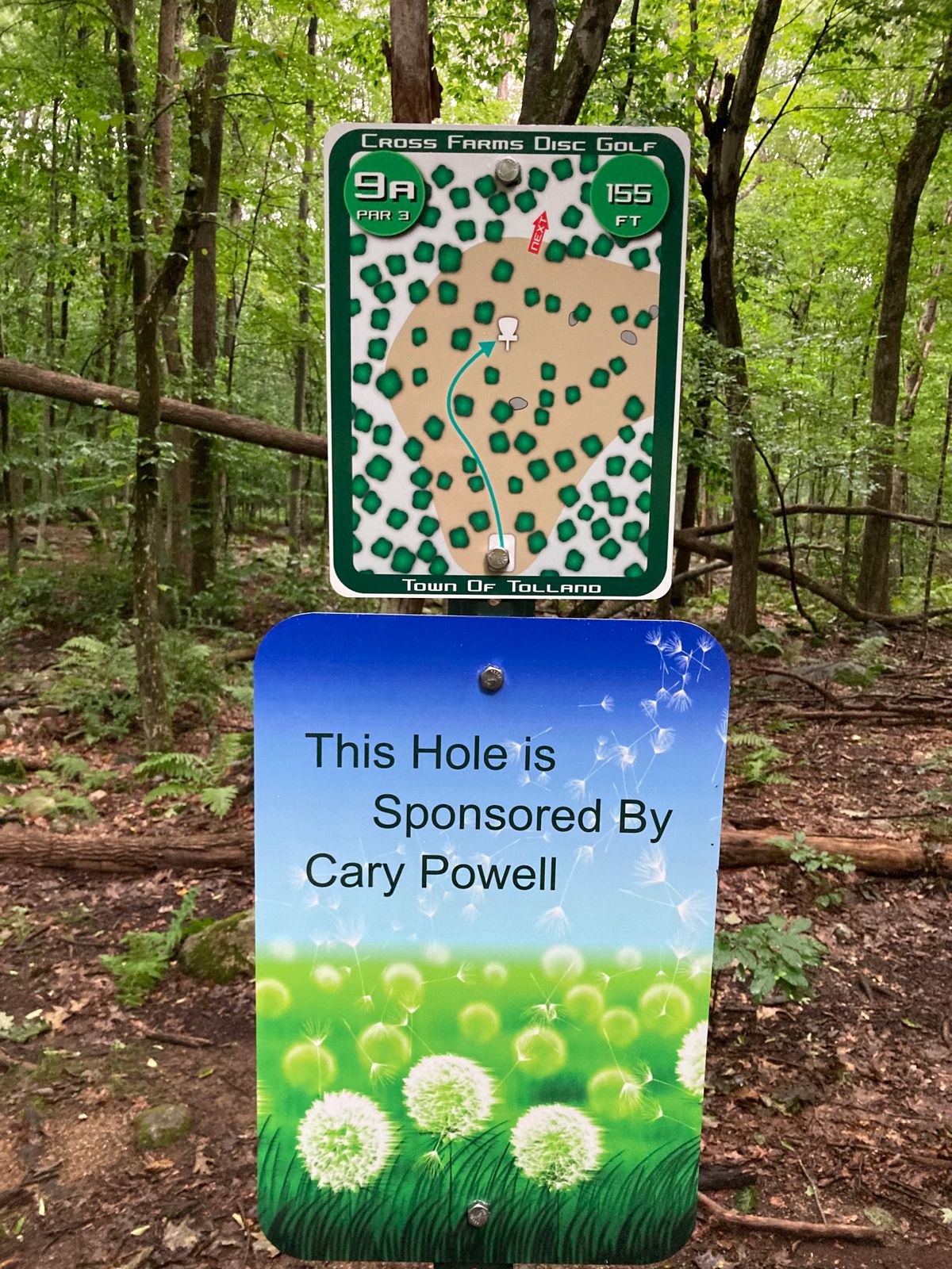 Hole 9A. This is new. May be easier to get from 7A basket then play 8A.