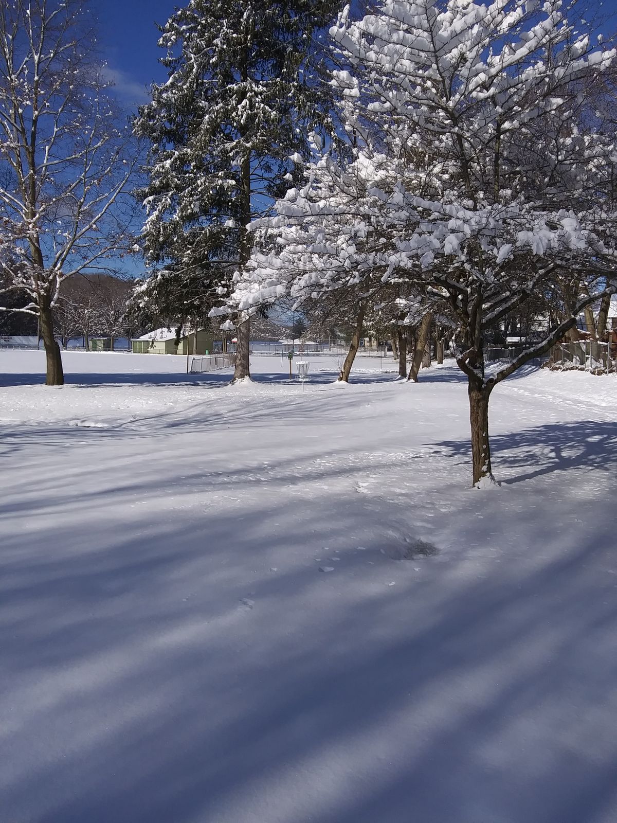 Hole 5 in the snow.