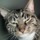 User avatar image