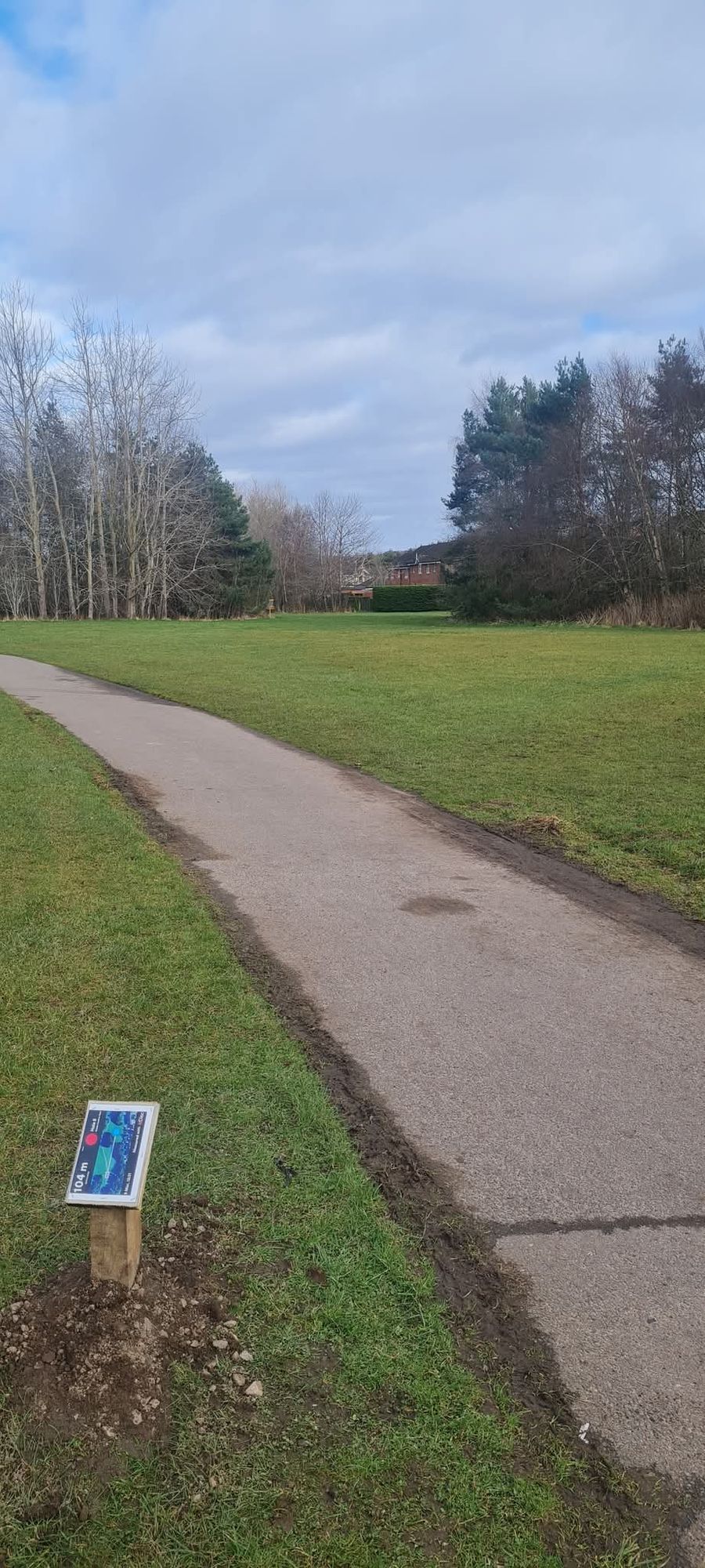 Just make the gap and avoid the woods either side.