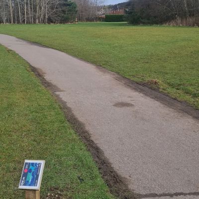 Just make the gap and avoid the woods either side.