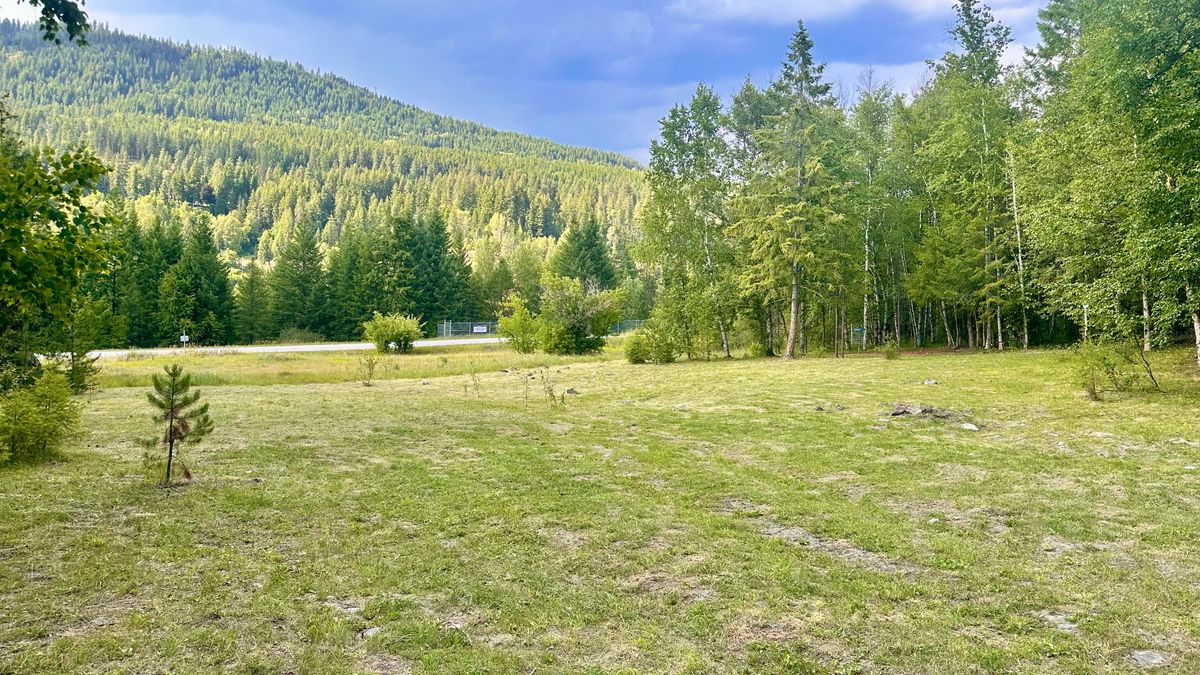 Hole 4 fairway and basket on right.
