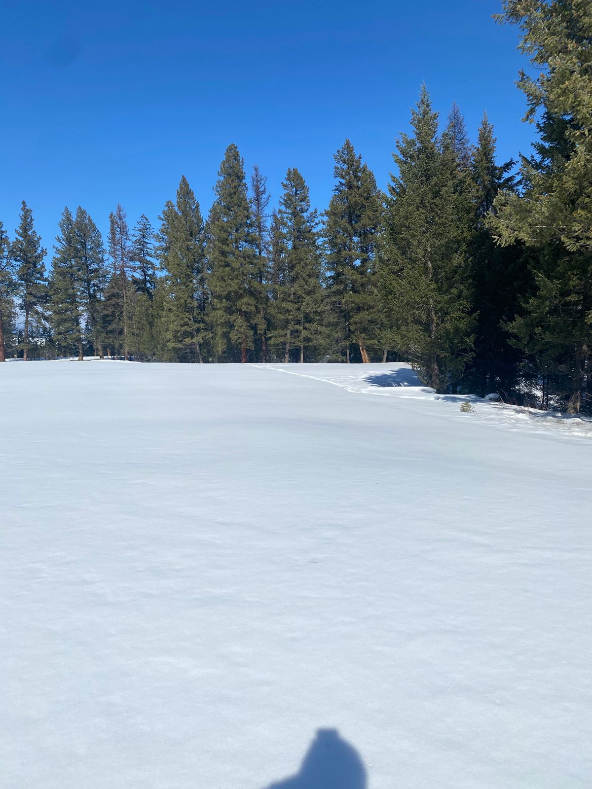 View towards basket of hole 5 (snow around 20cm deep and breakable)