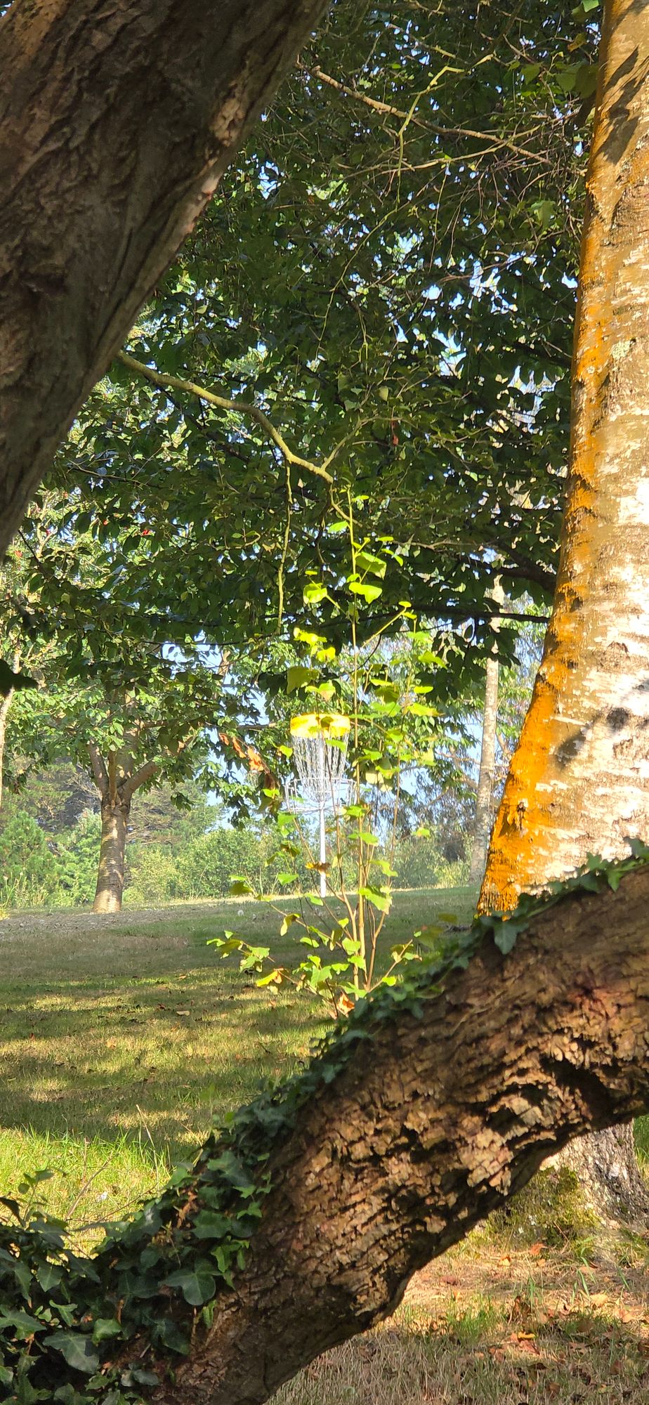 12th basket