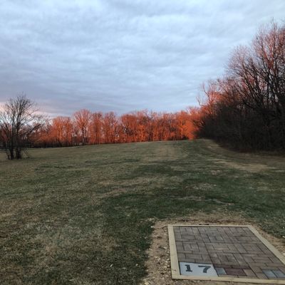 Hole 17 - tree line along your right. Open field plus one tree to the right.