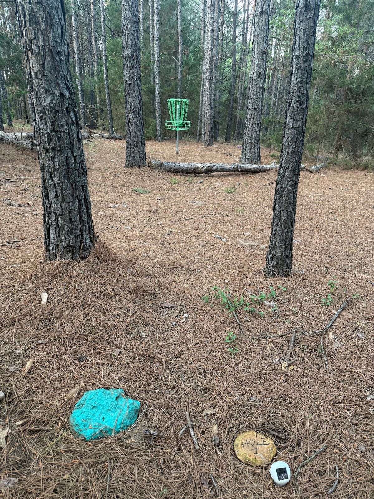 Hole 7 - Blue