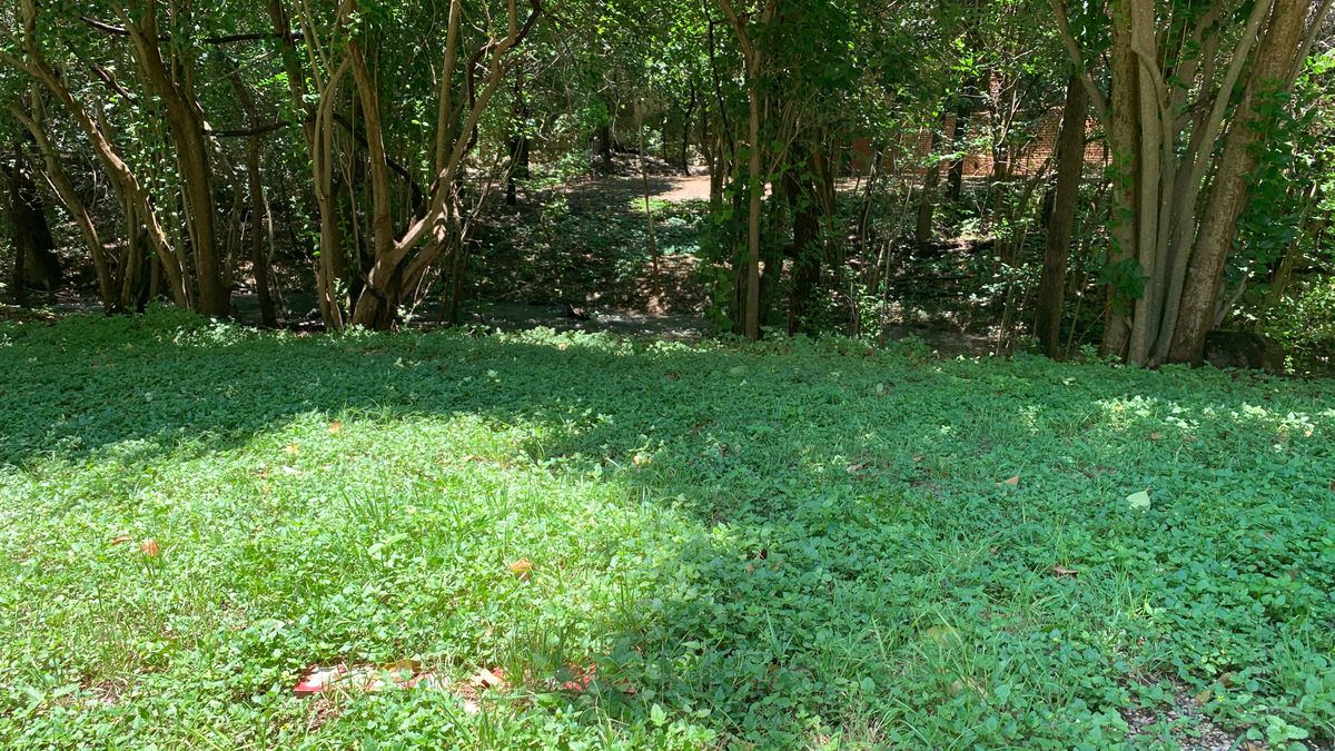 Hole 9