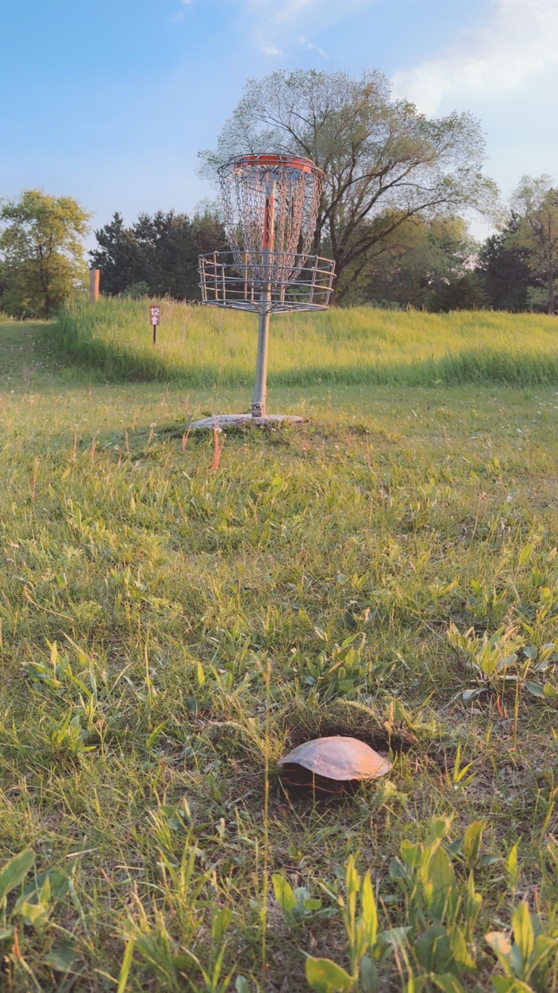 Hole 11 6/4/25
