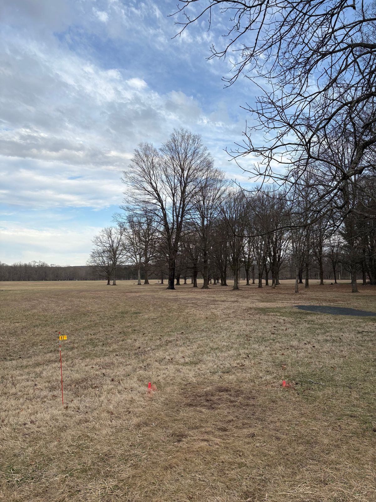 Proposed hole 11 is about 30 feet back left of the gravel pad.