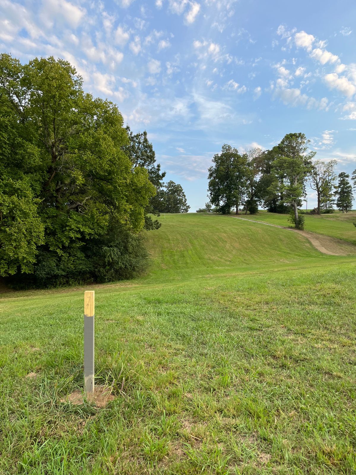 Hole 7