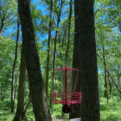 Hole 16 Basket