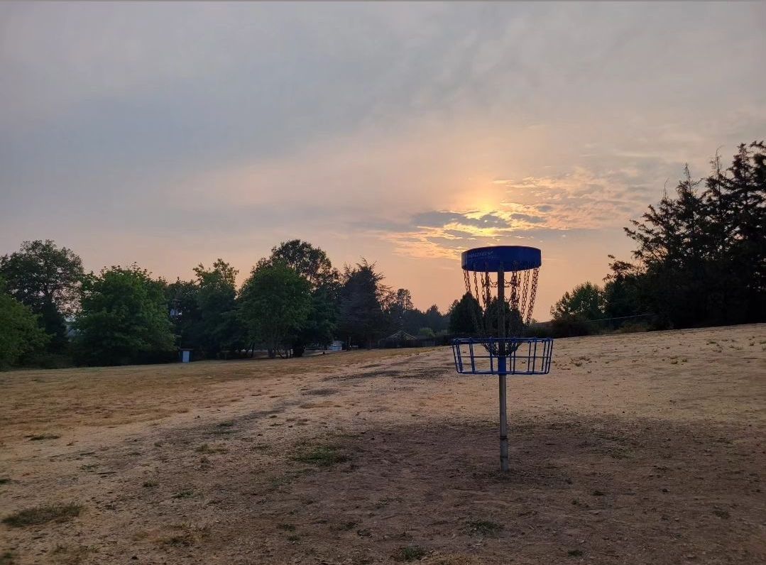 #17 pin