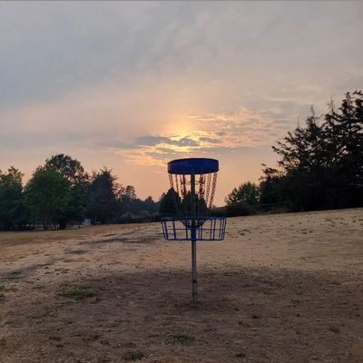 #17 pin