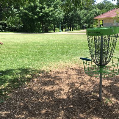 Hole 18 Prodigy Basket (new in 2019)