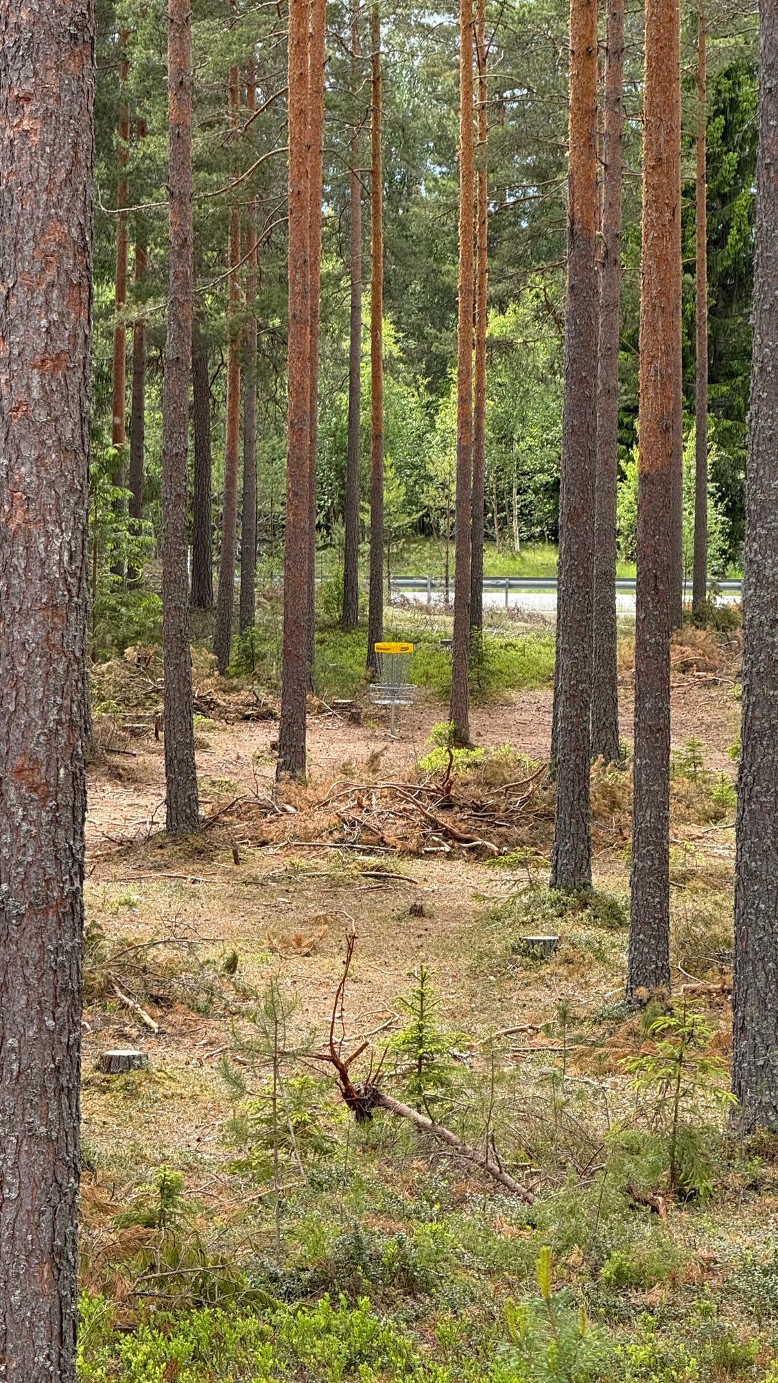 Grinder Diskgolfbane