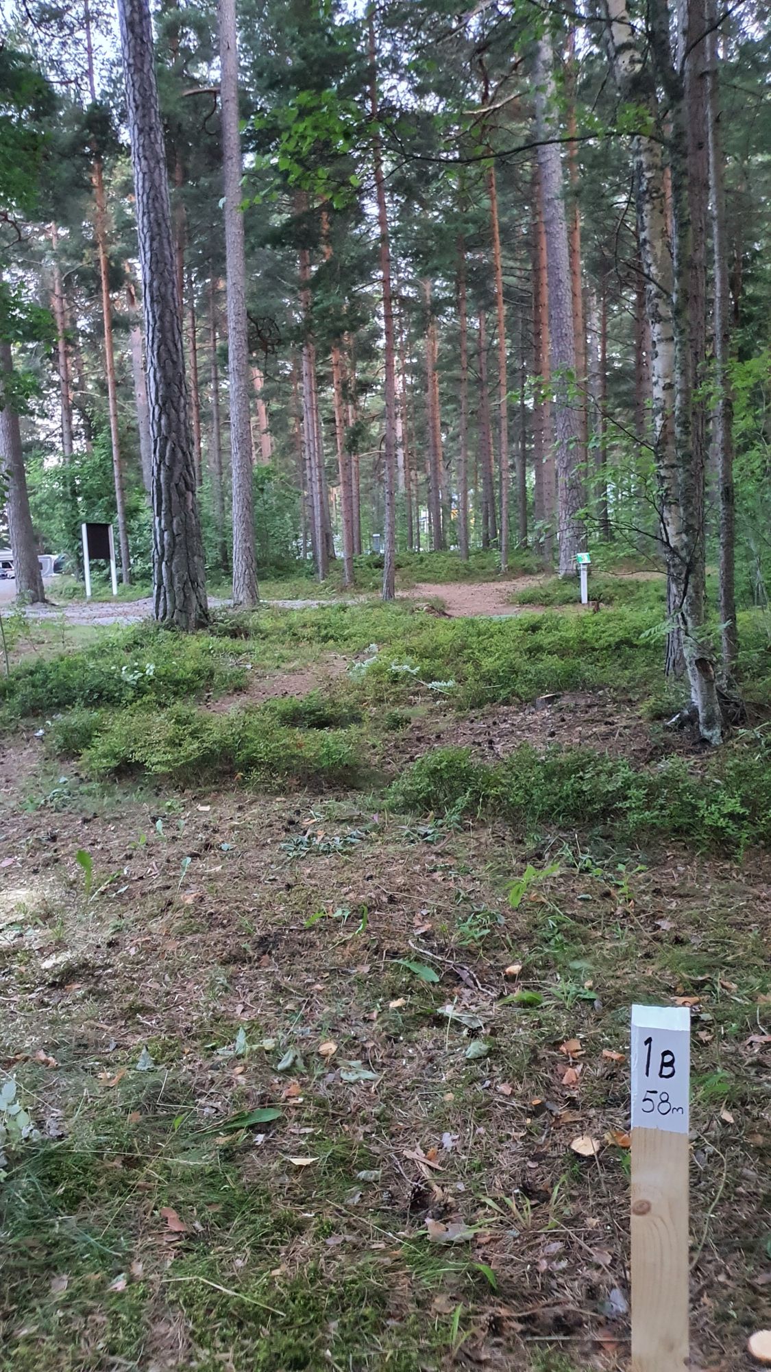 1B tiipaikka