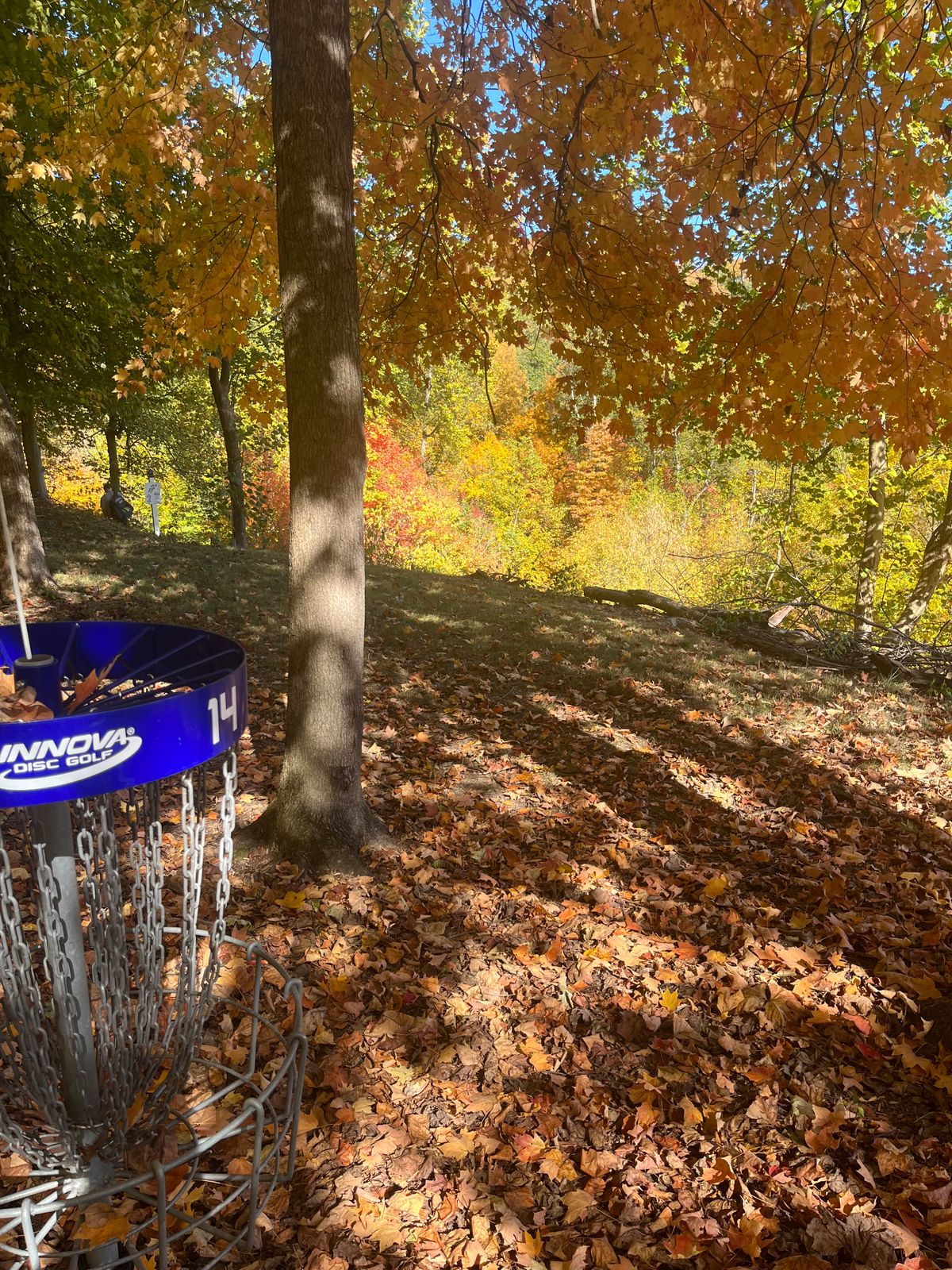 Basket on 14