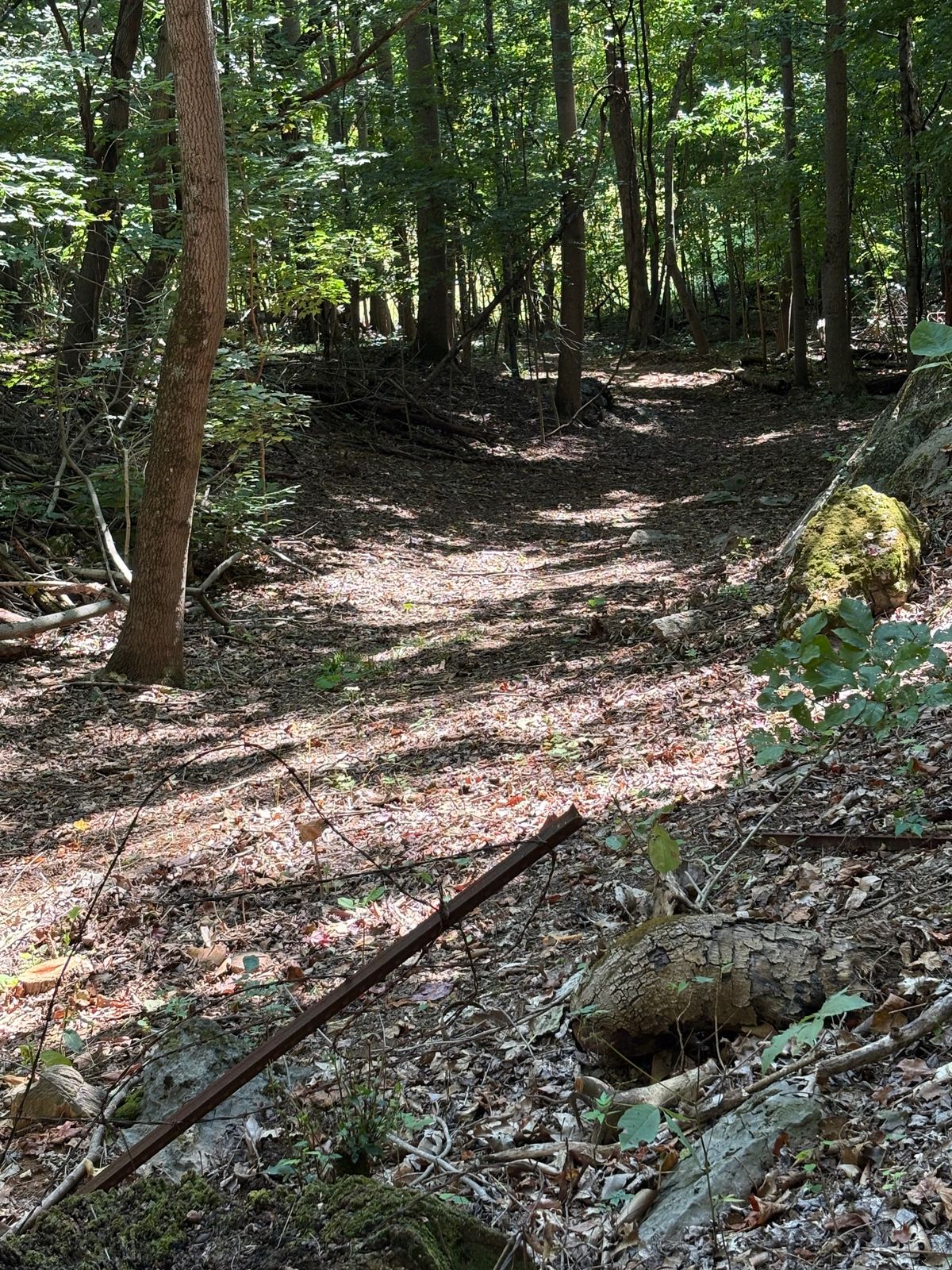 Hole 4 looking back to tee area