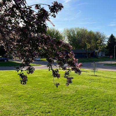 Hole 3
